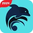 Dolphin VPN APK